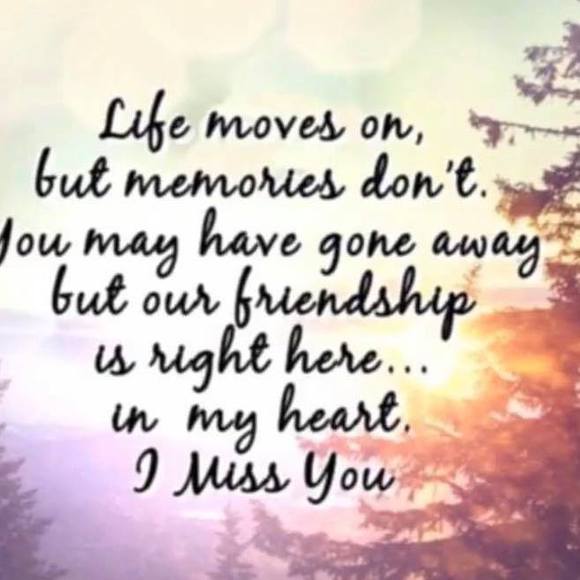 Meet your Posher, Rere - Picture 1 of 1